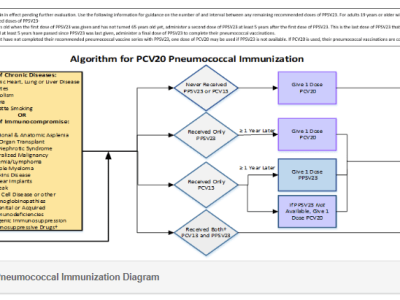 Epidemiology Vaccine Update